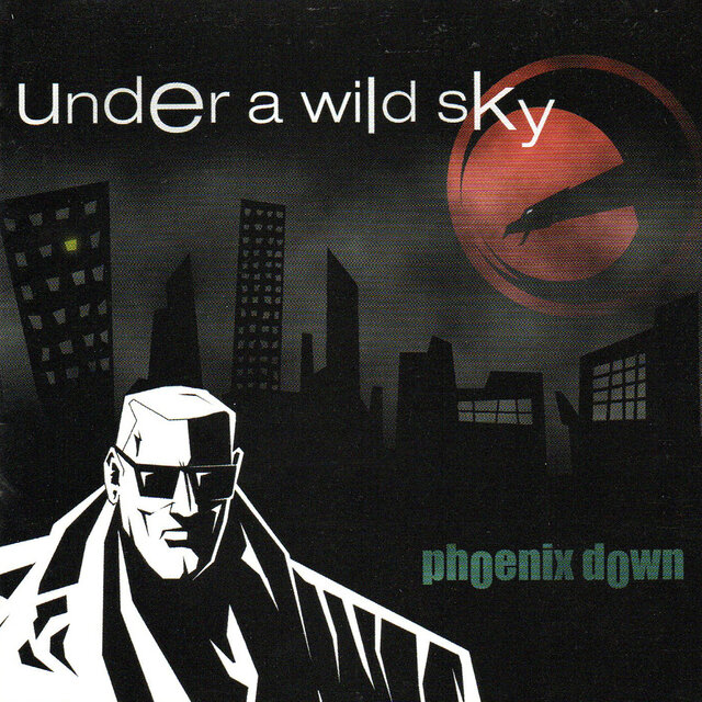Under a Wild Sky