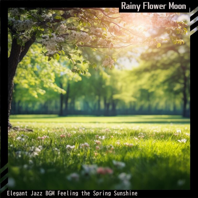 Elegant Jazz Bgm Feeling the Spring Sunshine