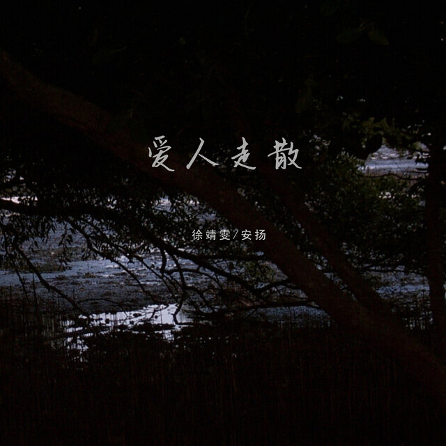 爱人走散