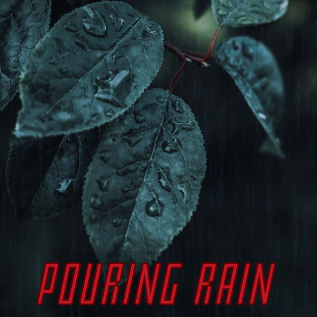 Pouring Rain: ASMR Nature Sounds for Deep Sleep from the Caribbean Rainforest