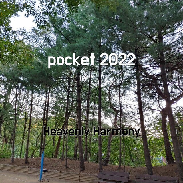 pocket 2022