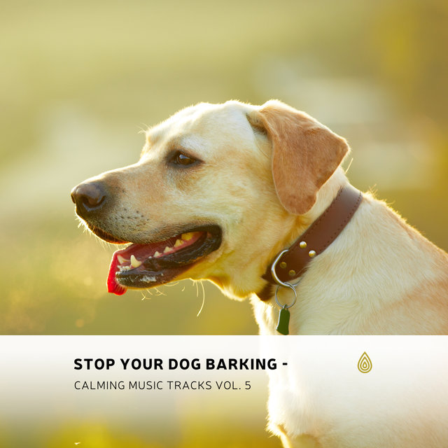 Stop Your Dog Barking - Calming Music Tracks Vol. 5