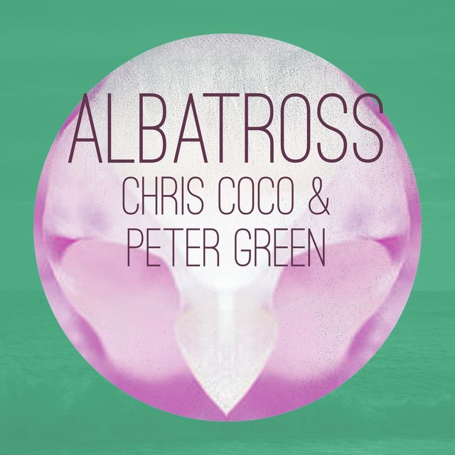 Albatross (The Orb Remix)