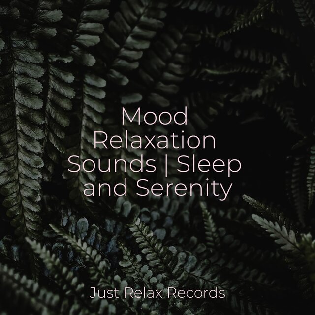 Mood Relaxation Sounds | Sleep and Serenity