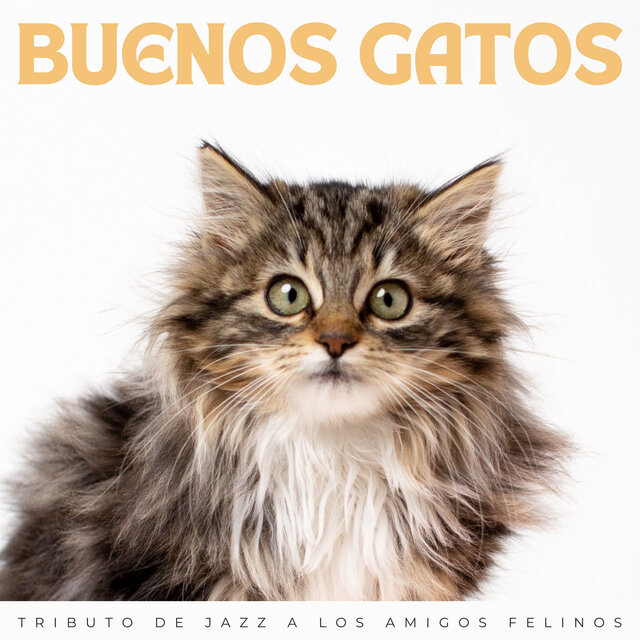 Buenos Gatos: Tributo De Jazz A Los Amigos Felinos