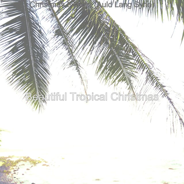 Christmas Islands (Auld Lang Syne)