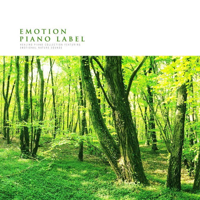 Healing Piano Collection Featuring Emotional Nature Sounds (Nature Ver.)