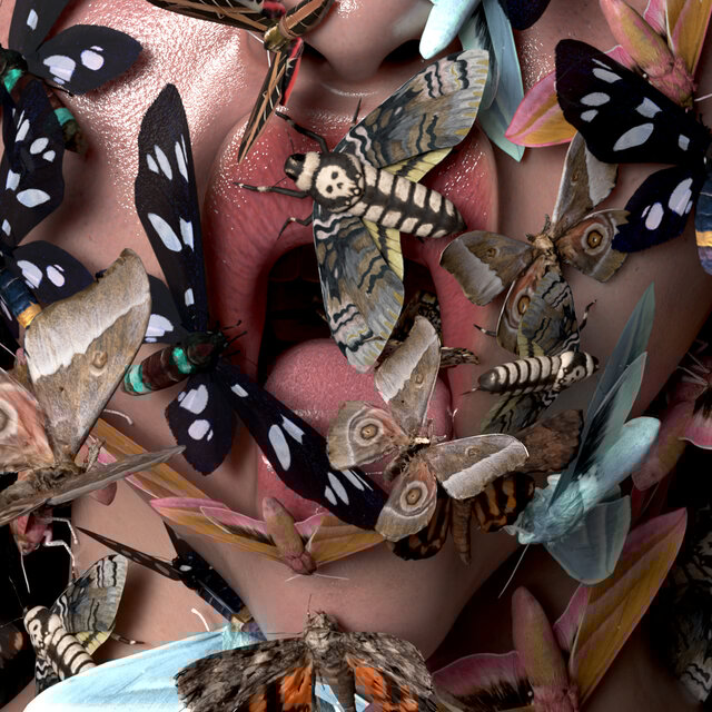 Cover of Angel Crisis