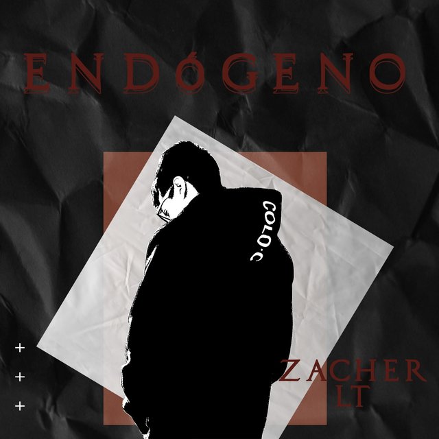 Endógeno (Estudio)
