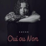 Oui ou Non