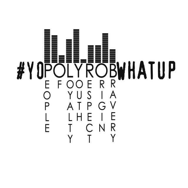 YoPolyRobWhatUp, Vol. 2