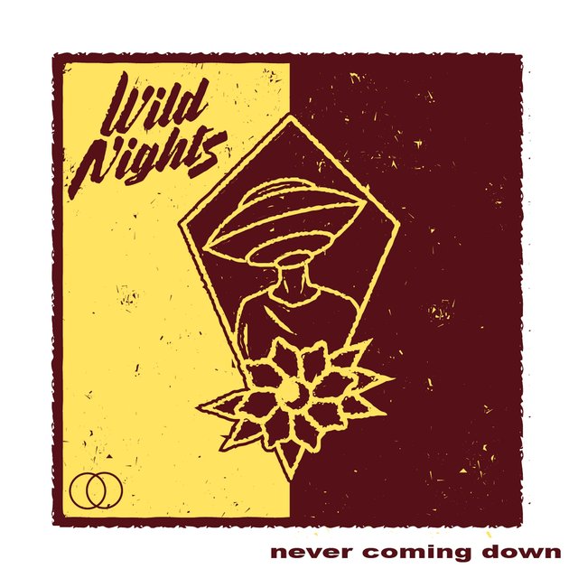 Never Coming Down