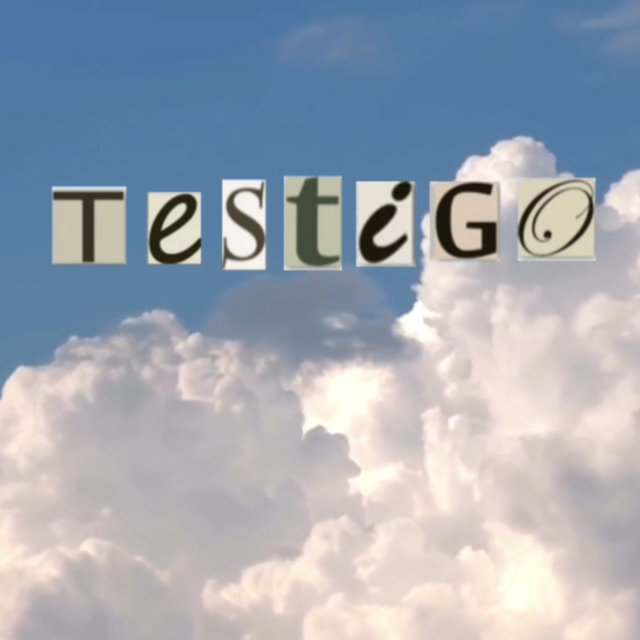 Testigo
