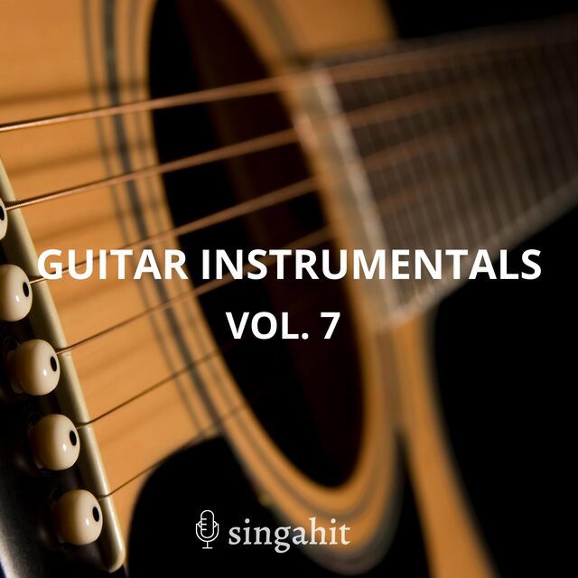Guitar Acoustic Instrumental, Vol. 7