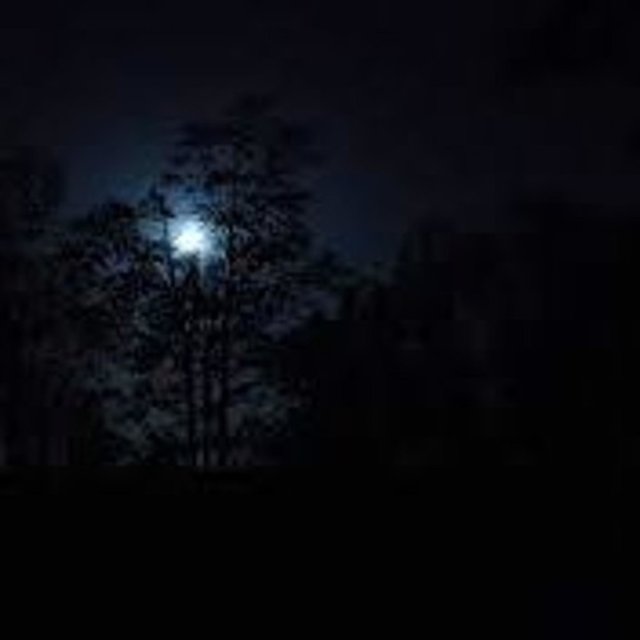 FullMoonWolfPack