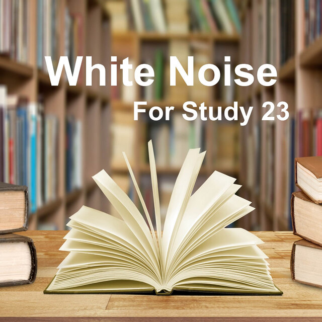 White Noise Study 23 - Study ASMR White Noise Fireplace Sound 1 Hour