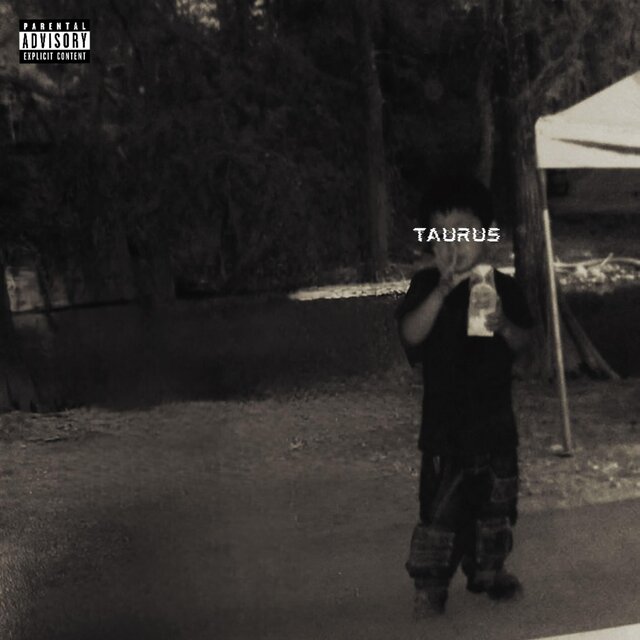 TAURUS