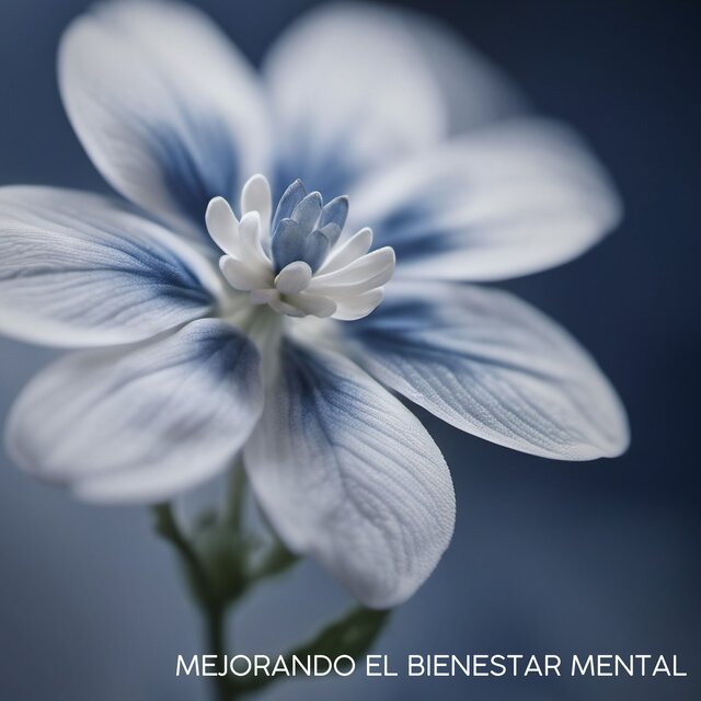 Mejorando el Bienestar Mental - Lista de Reproducción Relajante para Calmar el Sistema Nervioso Simpático