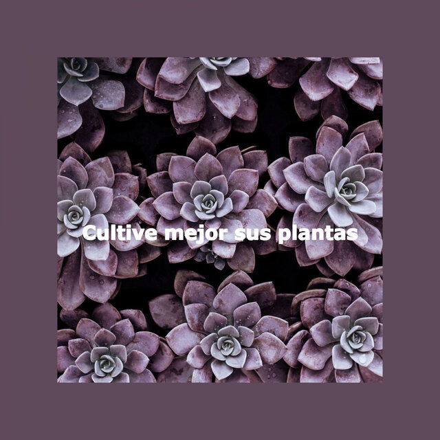 Cultive mejor sus plantas