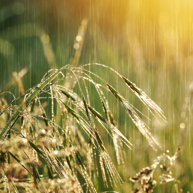 Rain On Me