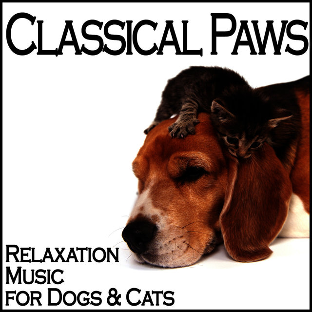 Classical Paws - Relaxation Music for Dogs & Cats