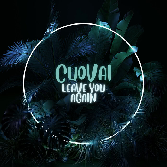 Leave You Again