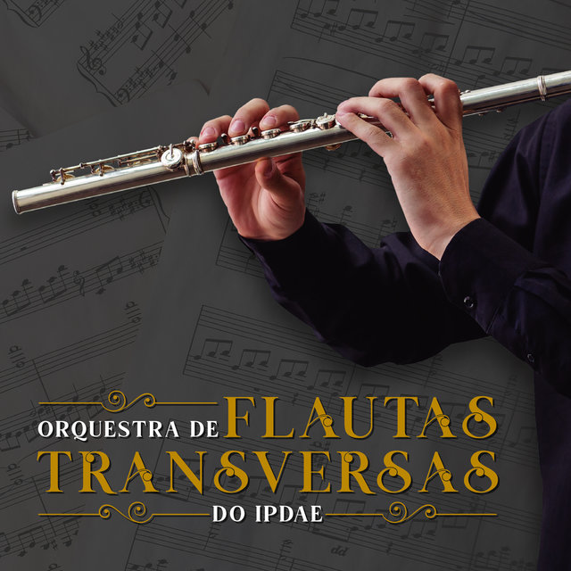 Orquestra de Flautas Transversas do Ipdae