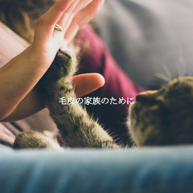 毛皮の家族のために