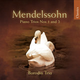 Piano Trio No. 1 in D Minor, Op. 49, MWV Q29: I. Molto allegro ed agitato