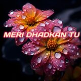 Meri Dhadkan Tu