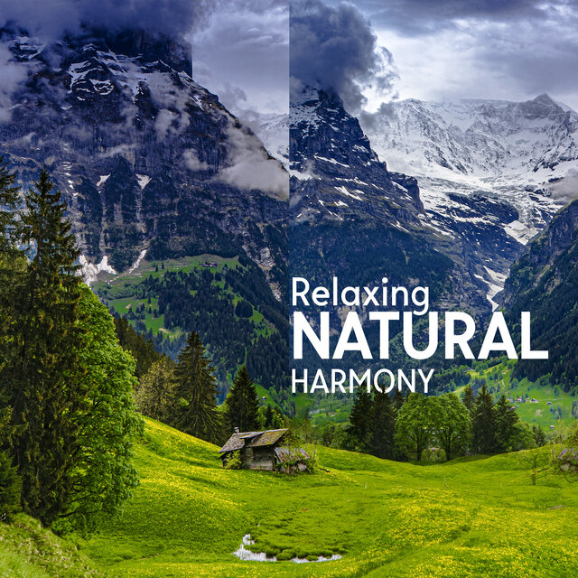 Relaxing Natural Harmony – Music In Nature Pure Tranquillity