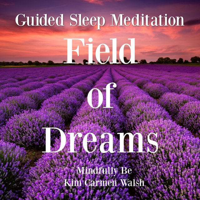 Field of Dreams (Guided Sleep Meditation)