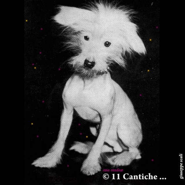 19960116 11© Cantiche... (Base)