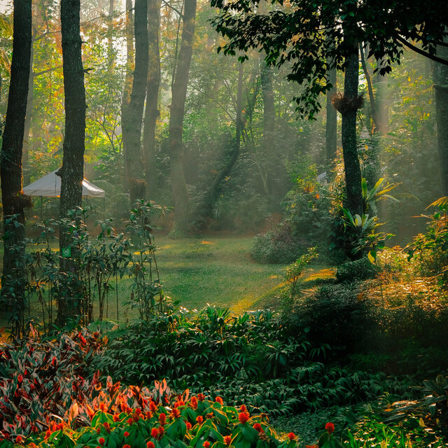 Morning Relaxing Music - Piano Music, Positive Music, Study Music
