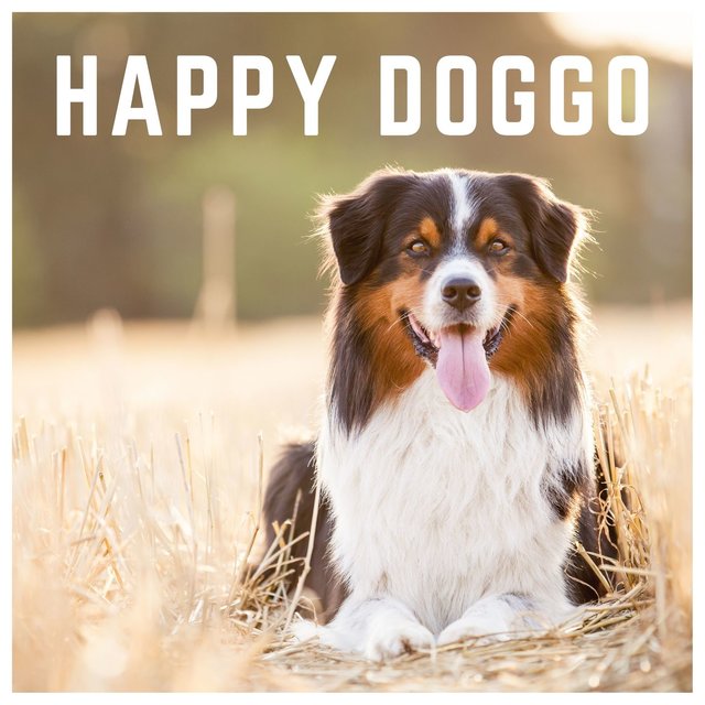 Happy Doggo: Music to Relax Your Dog, The Sleeping Music for Pets
