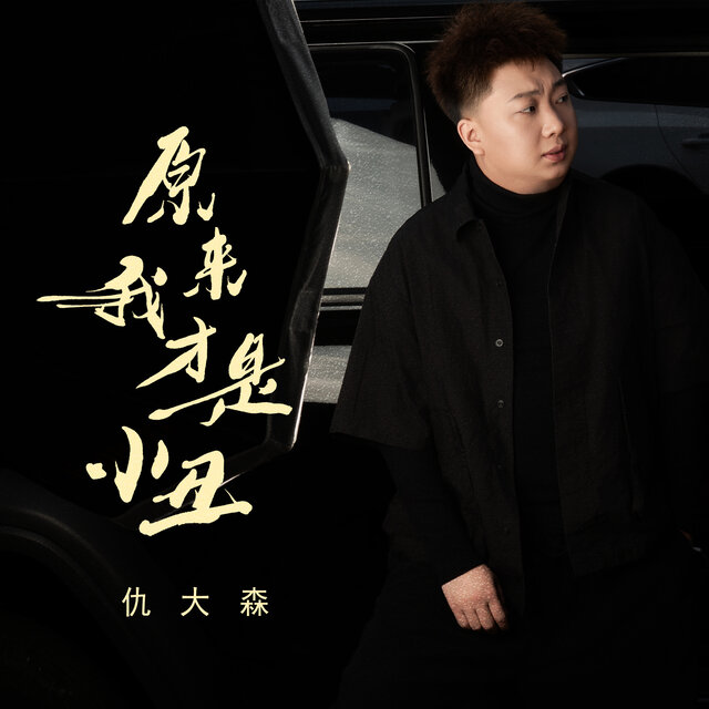 原来我才是小丑