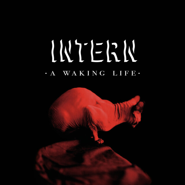 A Waking Life
