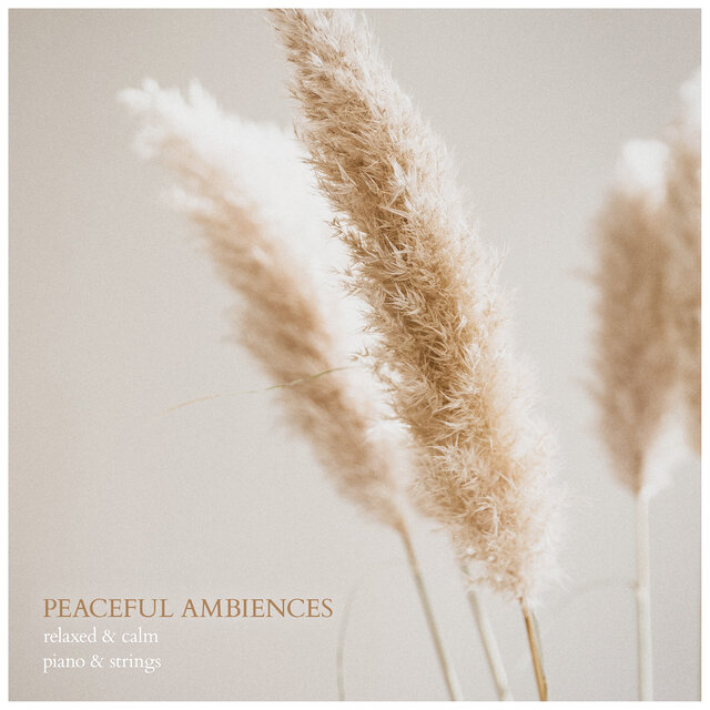 Peaceful Ambiences