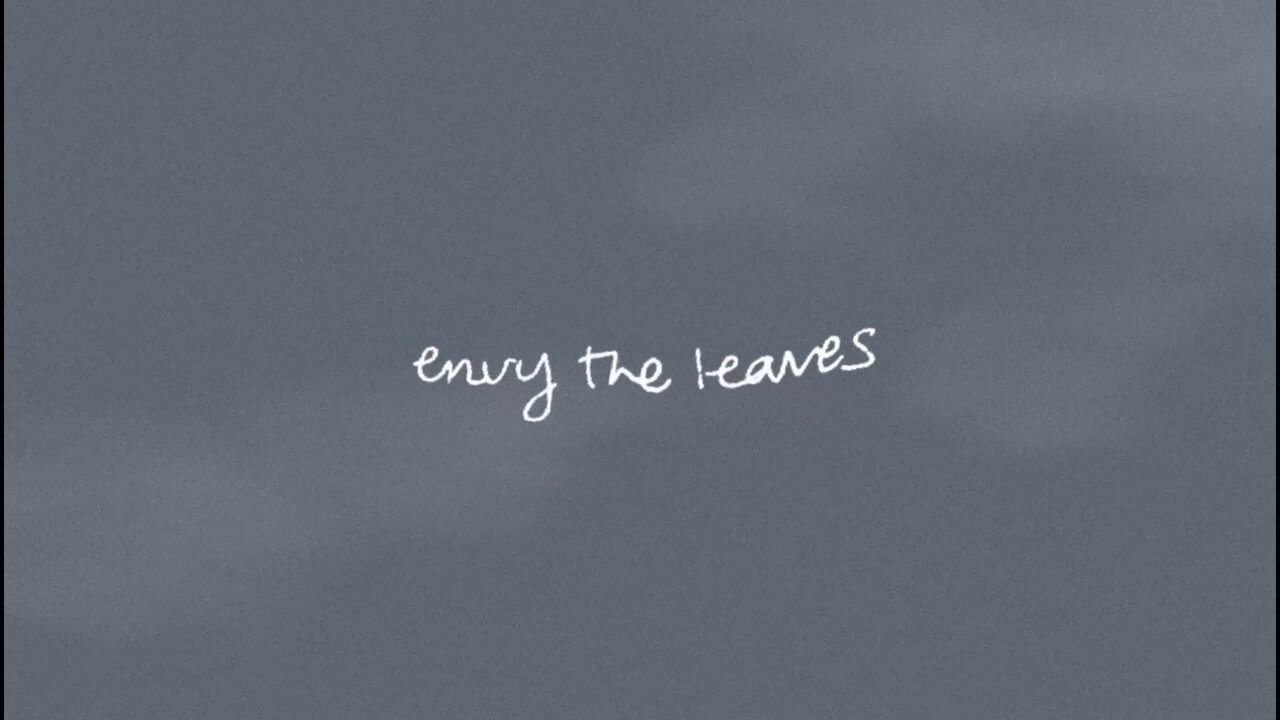 Envy the Leaves (Official Lyric Video)