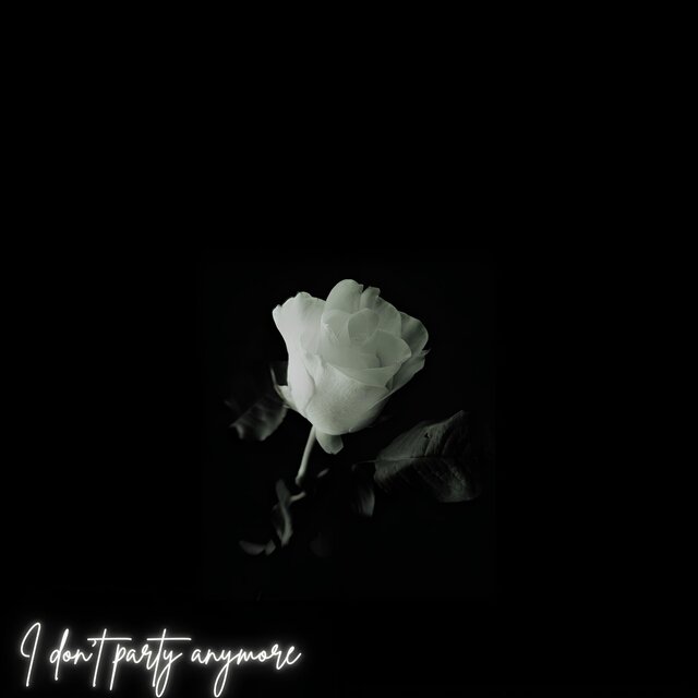 I don't party anymore (feat. Triver Sia, Brave London, YNG & J Kayo)