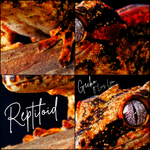 Reptiloid