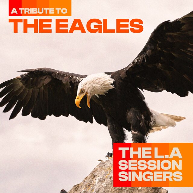 A Tribute To The Eagles