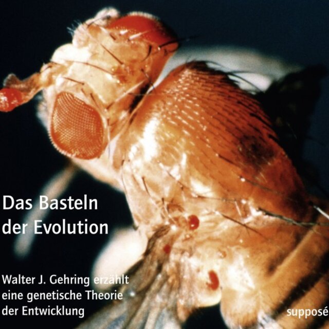Das Basteln der Evolution (Walter J. Gehring erzählt eine genetische Theorie der Entwicklung)