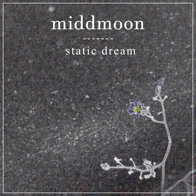 static dream
