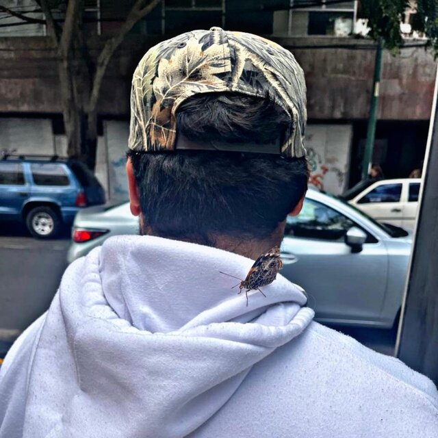Místico