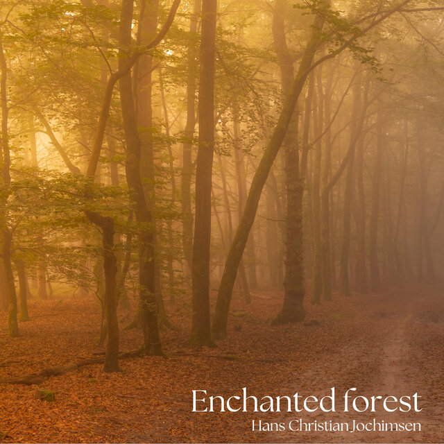 Enchanted forest