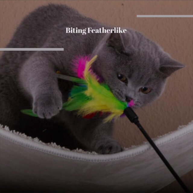 Biting Featherlike