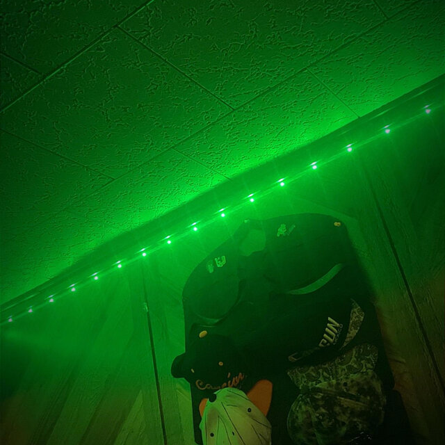 Limelight Dreams Intro (feat. 5 Duece 4 Trey)