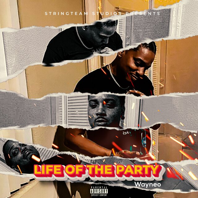 Life Of The Party