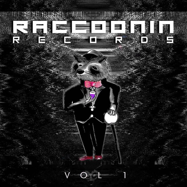 Raccoonin Records Vol.1